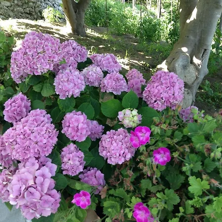 Tenuta Cavaliere Breathtaking View *