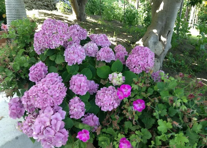 Tenuta Cavaliere Breathtaking View *